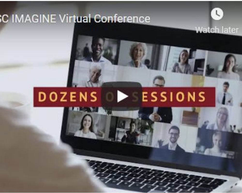 IMAGINE Virtual Conference Sessions